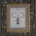 Harlequin Masquerade