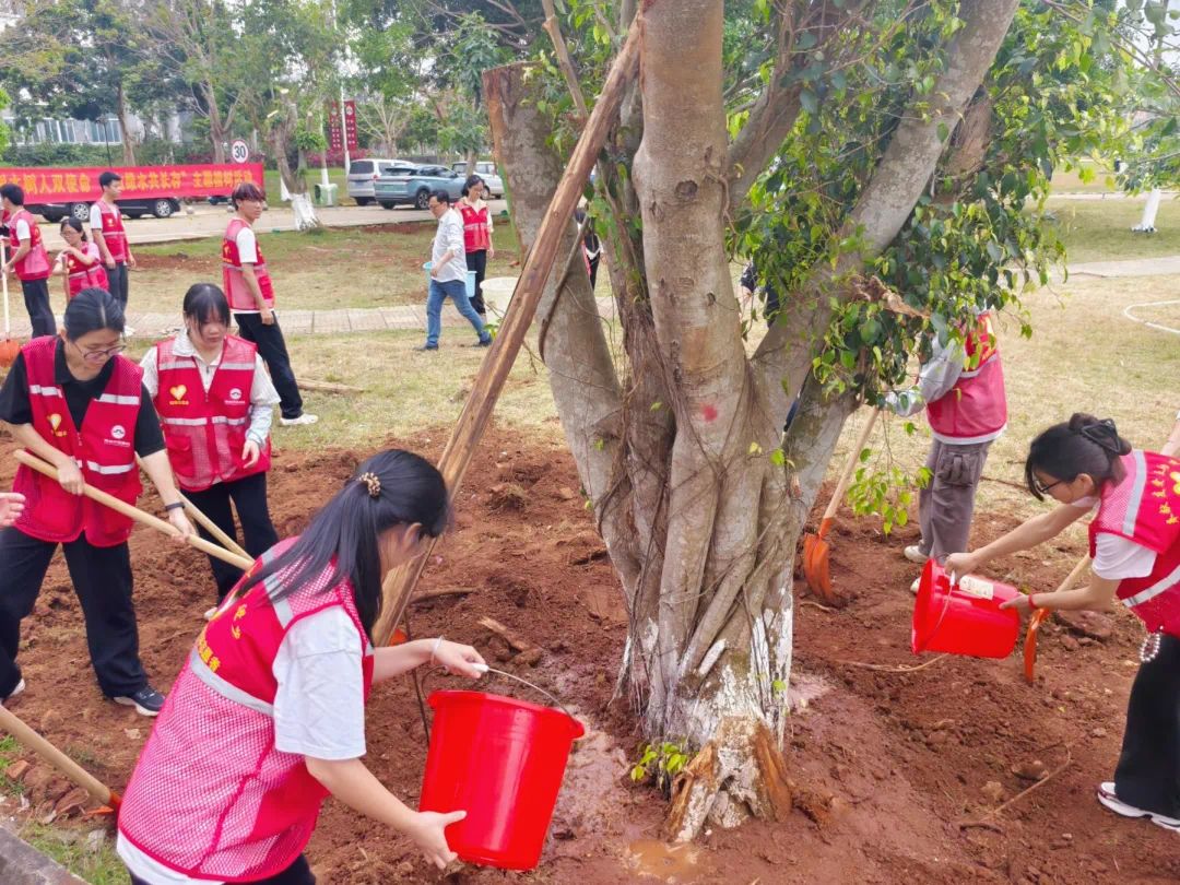 太阳成集团122ccvip