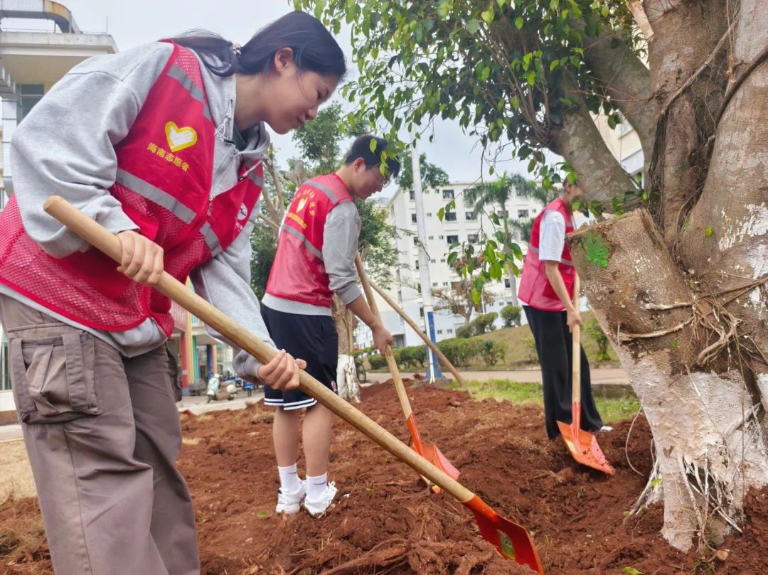 太阳成集团122ccvip