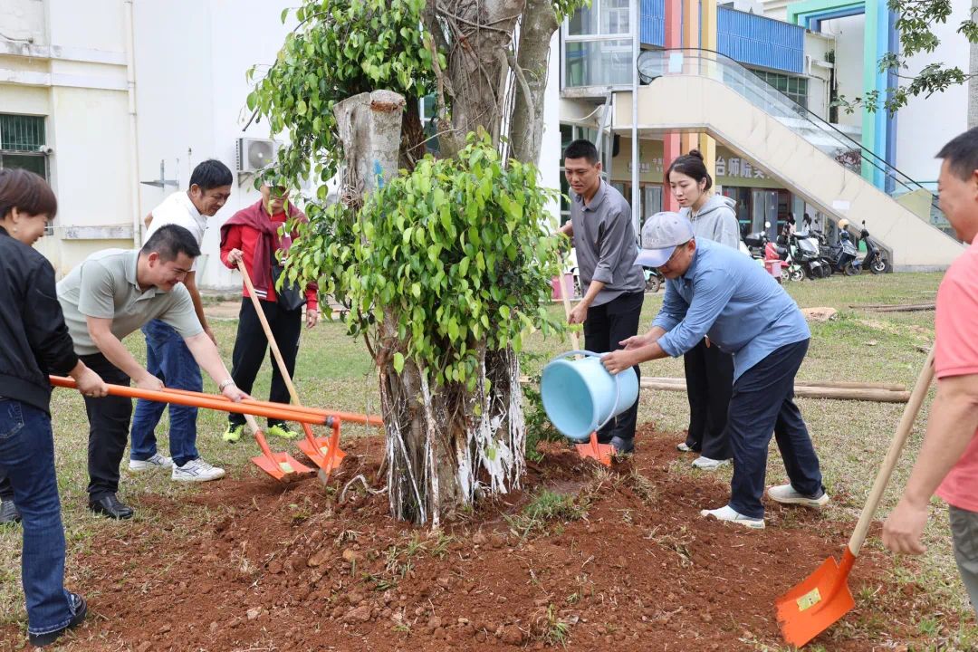 太阳成集团122ccvip